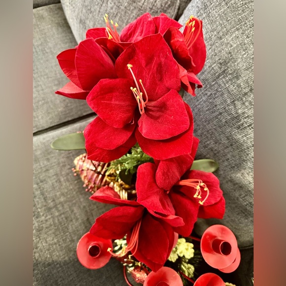 LOOK CLOSE! Christmas bundle last year. Dillards and macys stores. Used 1x - Picture 8 of 9